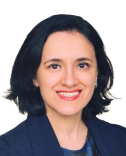 Picture of Av. Sevil Yıldırım
